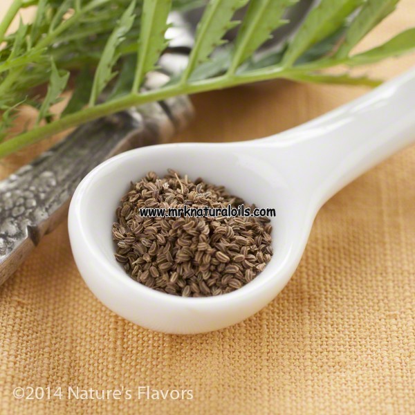 Celery seed Essential oil Buy 100 Pure & Natural Essential Oils from India MRK Natural Oils