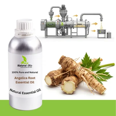 Angelica root Essential oil