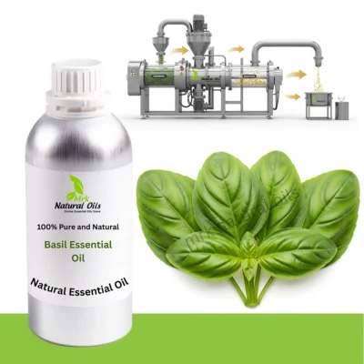 Basil Essential Oil