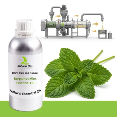 Bergamot Mint Oil