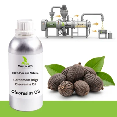 Cardamom (Big) Oleoresins