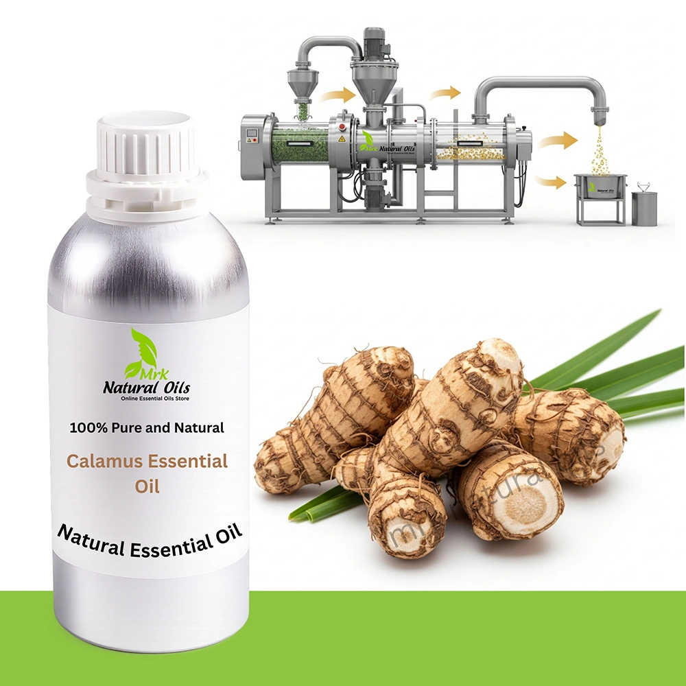 Calamus-Essential-Oil
