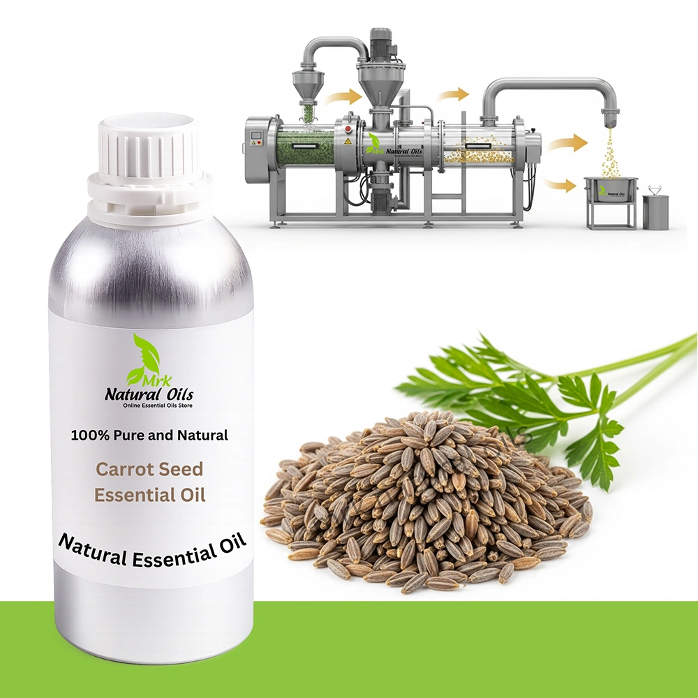 Carrot-Seed-Essential-Oil