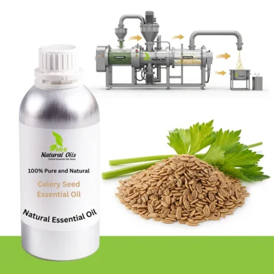 Celery seed Essential oil
