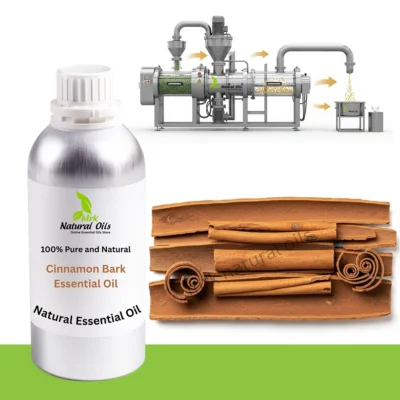 Cinnamon Bark Essential Oil