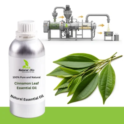 Cinnamon Leaf Essential Oil