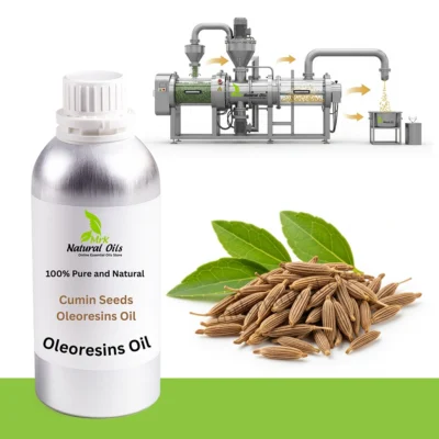 Cumin seed Oleoresins