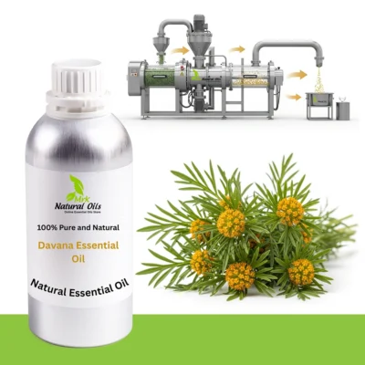 Davana Essential oil
