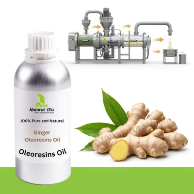 Ginger Oleoresins