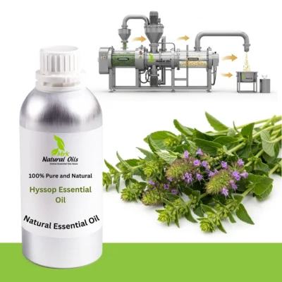 Hyssop Natural Essential Oil