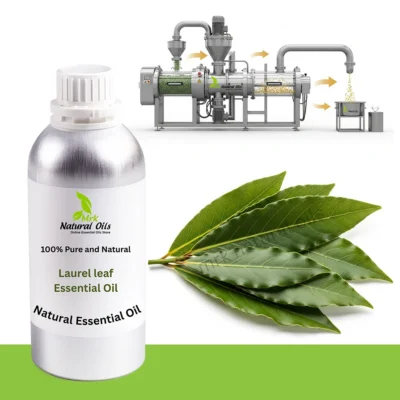 Laurel leaf Essential Oil