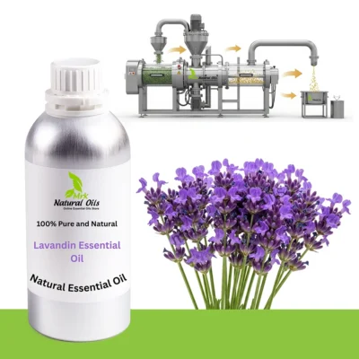 Lavandin  Essential Oil