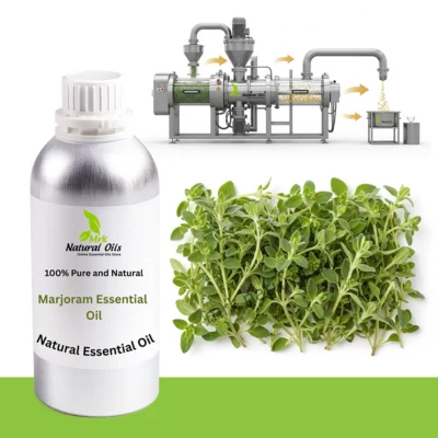 Marjoram  Essential Oil