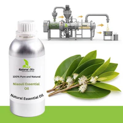 Niaouli Essential Oil