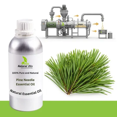Pine Needle Essential Oil