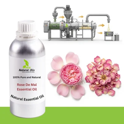 Rose De Mal Essential Oil