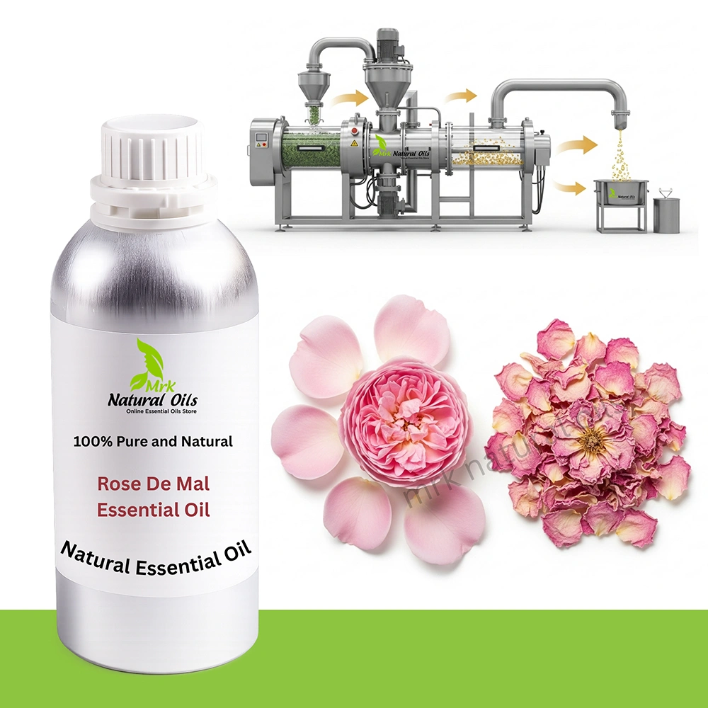 Rose De Mal Essential Oil