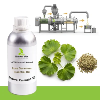 Rose Geranium Essential Oil