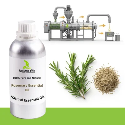 Rosemary Essential Oil