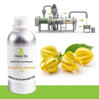 Ylang Ylang Essential Oil