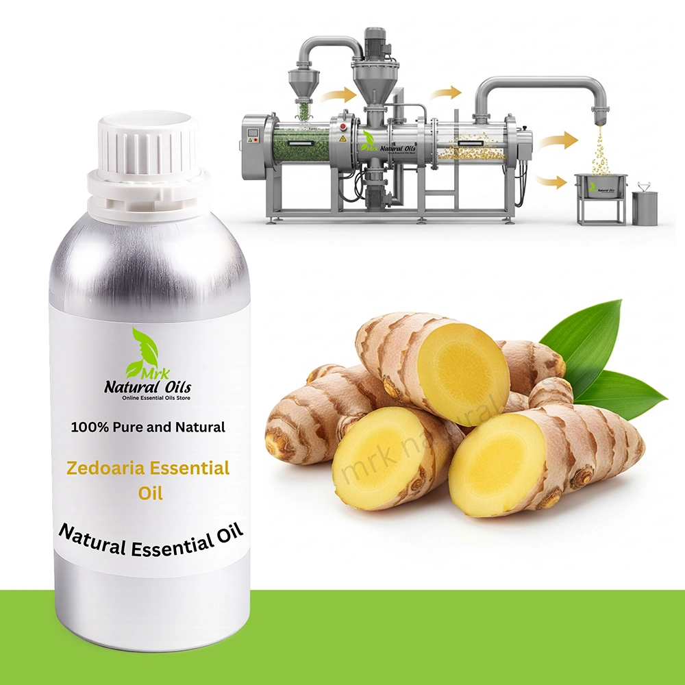 Zedoaria Essential Oil